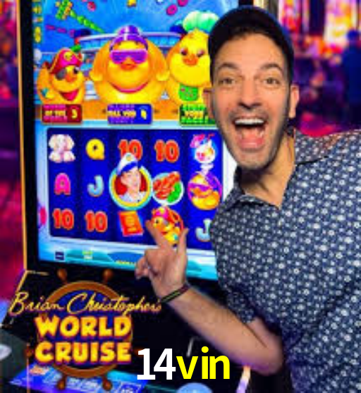 Interface Premium 14vin